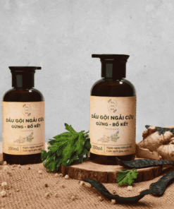 Dầu Gội Ngải Cứu Gừng Bồ Kết Làm Sạch Gàu Ngứa, Ngừa Nấm, Mọc Tóc, Giảm Rụng, Tơi Phồng SALAKA 350ML